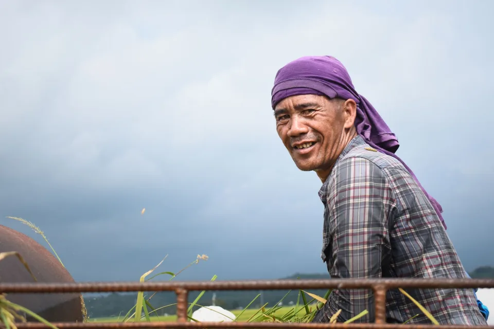 Dự án gần đây